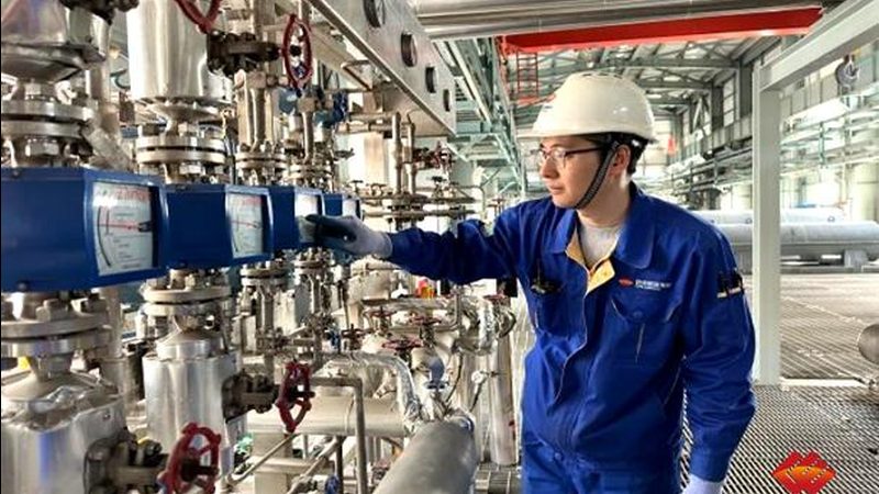 电加热不锈钢反应釜：揭秘其价格构成与选购要点**